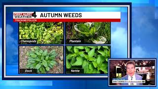 Seasonal allergy sufferers now on alert in Middle Tennessee