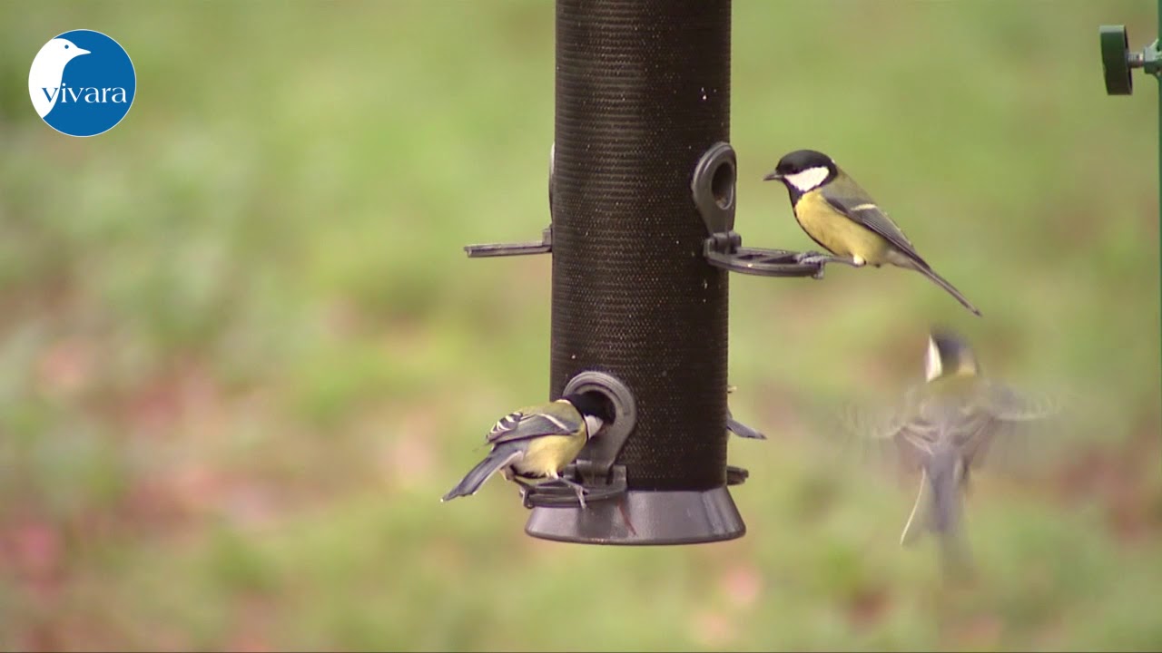 Vivara Adventurer Ultra Voedersilo 40 cm (33027)