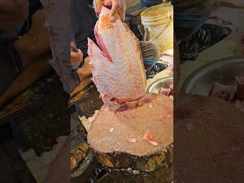 برش ماهی تالیپا شورت