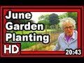 June garden planting  wisconsin garden blog 833