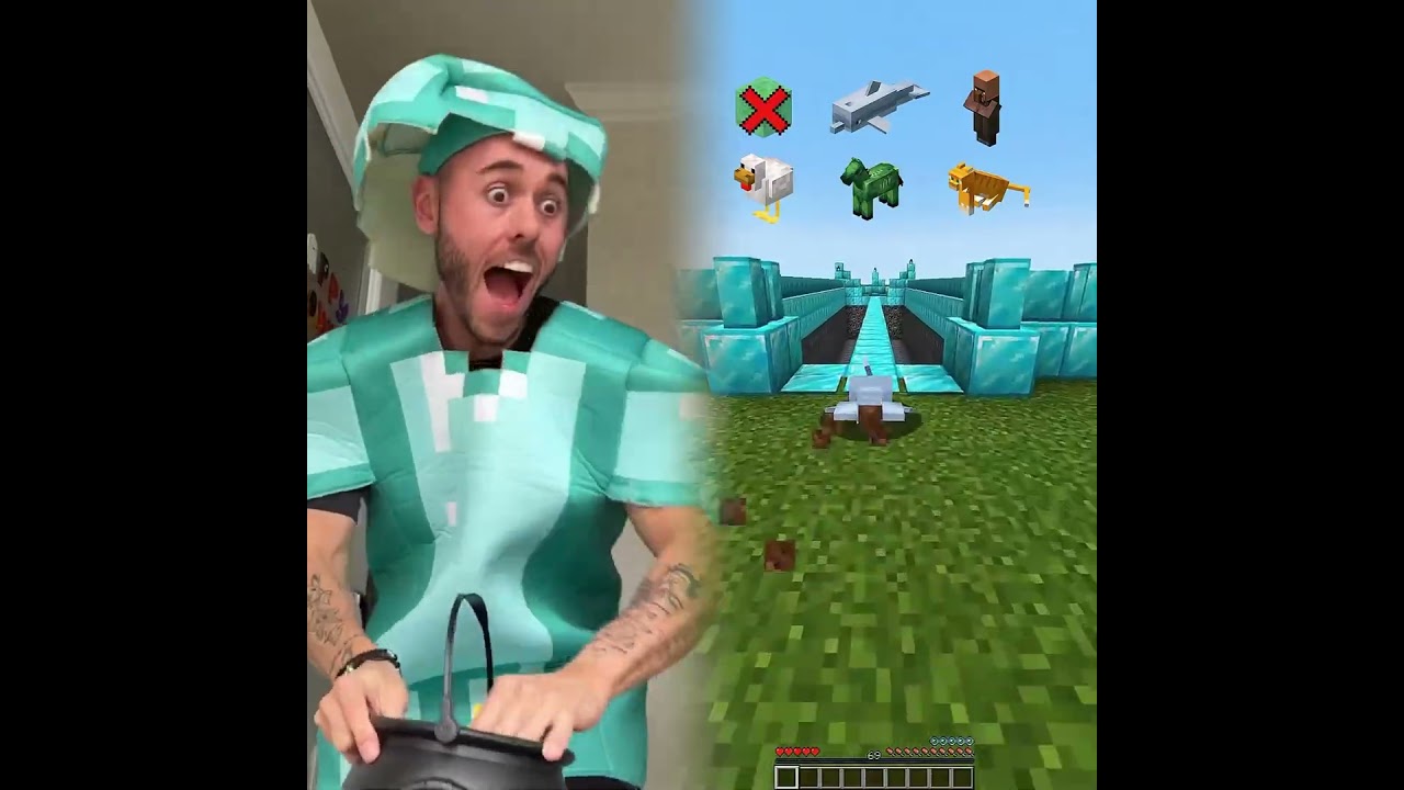 #иллюстрация