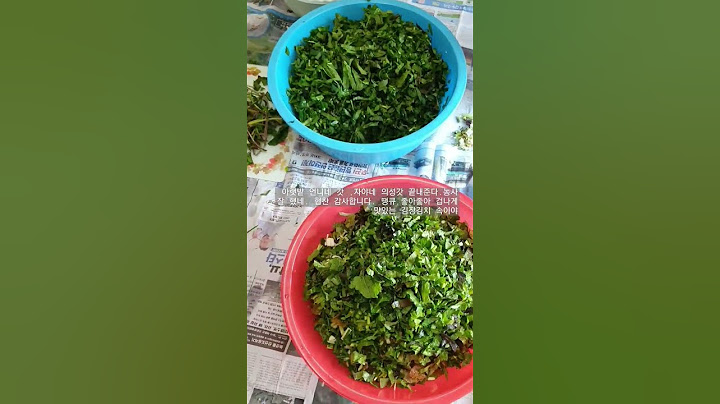 김장김치 속 만들기 아래 밭 두 집에서 협찬한 갓 김장김치에 무 배 대파 갈아넣어주니 김치 맛이 특별하다. 자야 갓 잘키웠다 잘 먹을께 밭에가면 인심좋은 친구들이 행복하게 만든다
