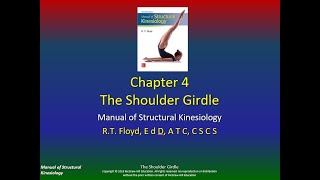 Structural Kinesiology Ch4 P2
