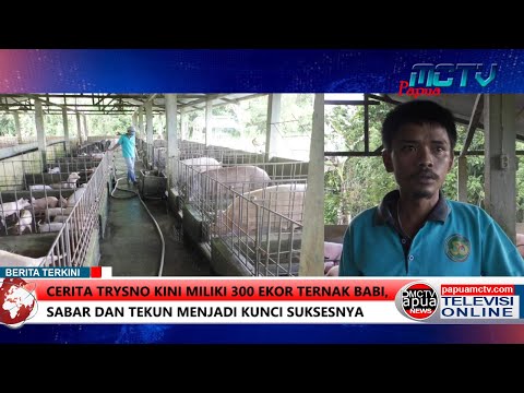 Video: Seroprevalensi Tinggi Ascaris Dalam Babi Penggemukan Di Sichuan, China, Memerlukan Strategi Pengurusan Yang Lebih Baik