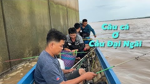 Câu Cá Ở Trụ Cầu Đại Ngãi 2 Ngây Nước Cá Ăn Đã Tay | Cù Lao Dung Vlogs
