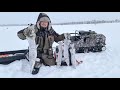 За щукой на мотособаке  #зимняярыбалка #щуканажерлицы #щука