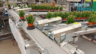 Sorting System - Conveyors - Sortiersystem Förderbänder - Sorteersysteem - Transportbanden