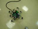 FEI - Hexapod Walking Robot