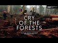 Cry of the Forests - A Western Australian Story - Official Trailer