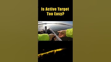 Is Active Target Too Easy? #Shorts #BassFishing #Activetarget #Livescope #FowardFacingSonar