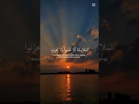إن الذين قالوا ربنا الله ثم استقاموا سورة فصلت آية 30