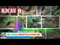 Masteran Lengkap Bikin Cepat Emosi Nyaut Dan Gacor Murai Batu Aceh Jambi Medan Borneo Kicau Q Mp3 - Mp4 Download