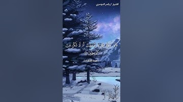 سورة الشعراء ( ١٣٢ - ١٤٠) / ياسر الدوسري