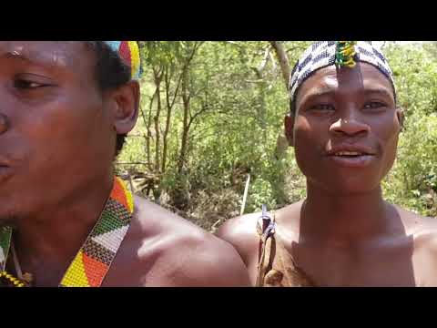 Secrets of the Hadzabe Tribe A Whole Life Of The Hunters African Hunters