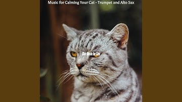 Pulsating Ambiance for Calming Your Cat