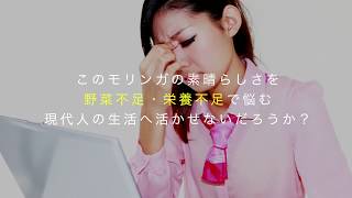 国産モリンガ青汁PV　スーパーフード「モリンガ」使用の青汁_ビューティーワールド商品