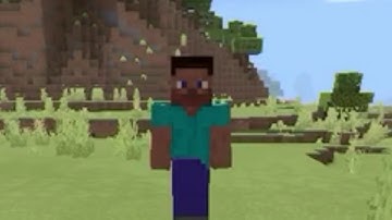 Minecraft in a Nutshell, But its actually Minecraft