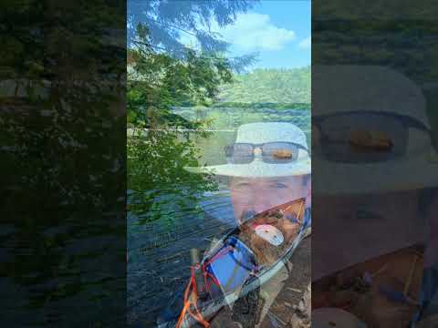 Algonquin Provincial Park #shorts