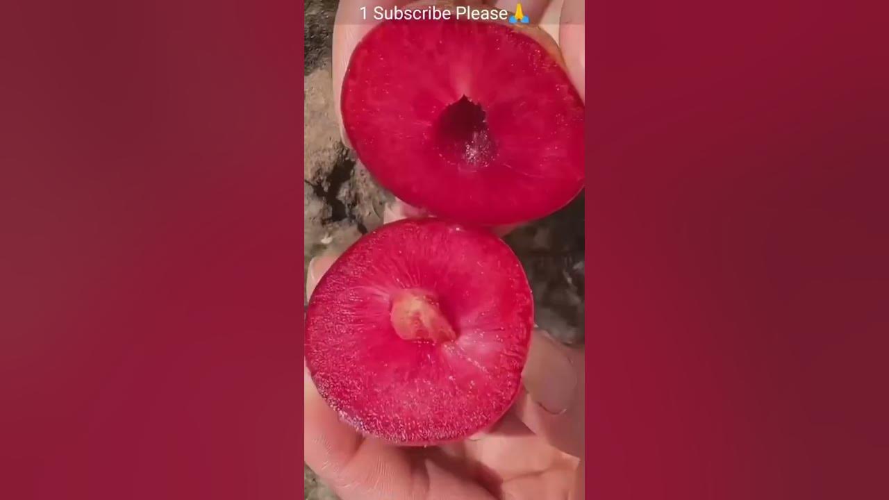 How To Cut Fresh Fruit Cutting In My Farm 🫣 🥭🍒🍋🍅🍇🍓🥝🍉🍌🍍🍠🍈🍐🥑🥕🍠🍎🍆short