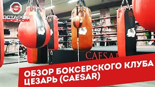 Обзор боксерского клуба Цезарь (Caesar)