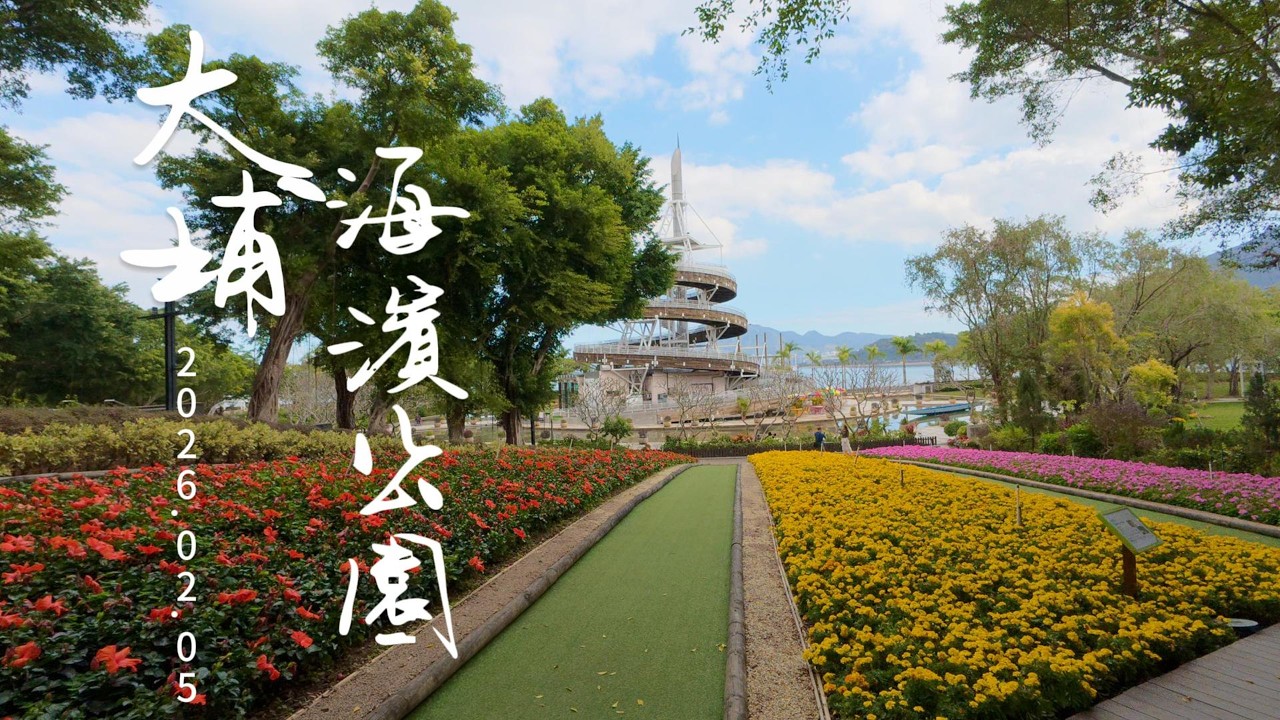 大埔海濱公園 櫻花剛種 賞花稍等
