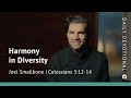 Harmony in Diversity | Colossians 3:12–14 | Our Daily Bread Video Devotional