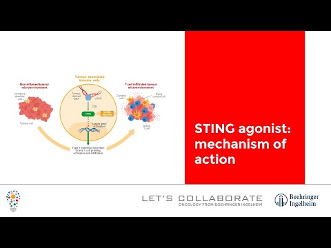 Video: Immunotherapy Intratumoral Dengan TLR7 / 8 Agonist MEDI9197 Memodulasi Kawasan Mikro Tumor Yang Membawa Kepada Peningkatan Aktiviti Apabila Digabung Dengan Immunotherapies Lain