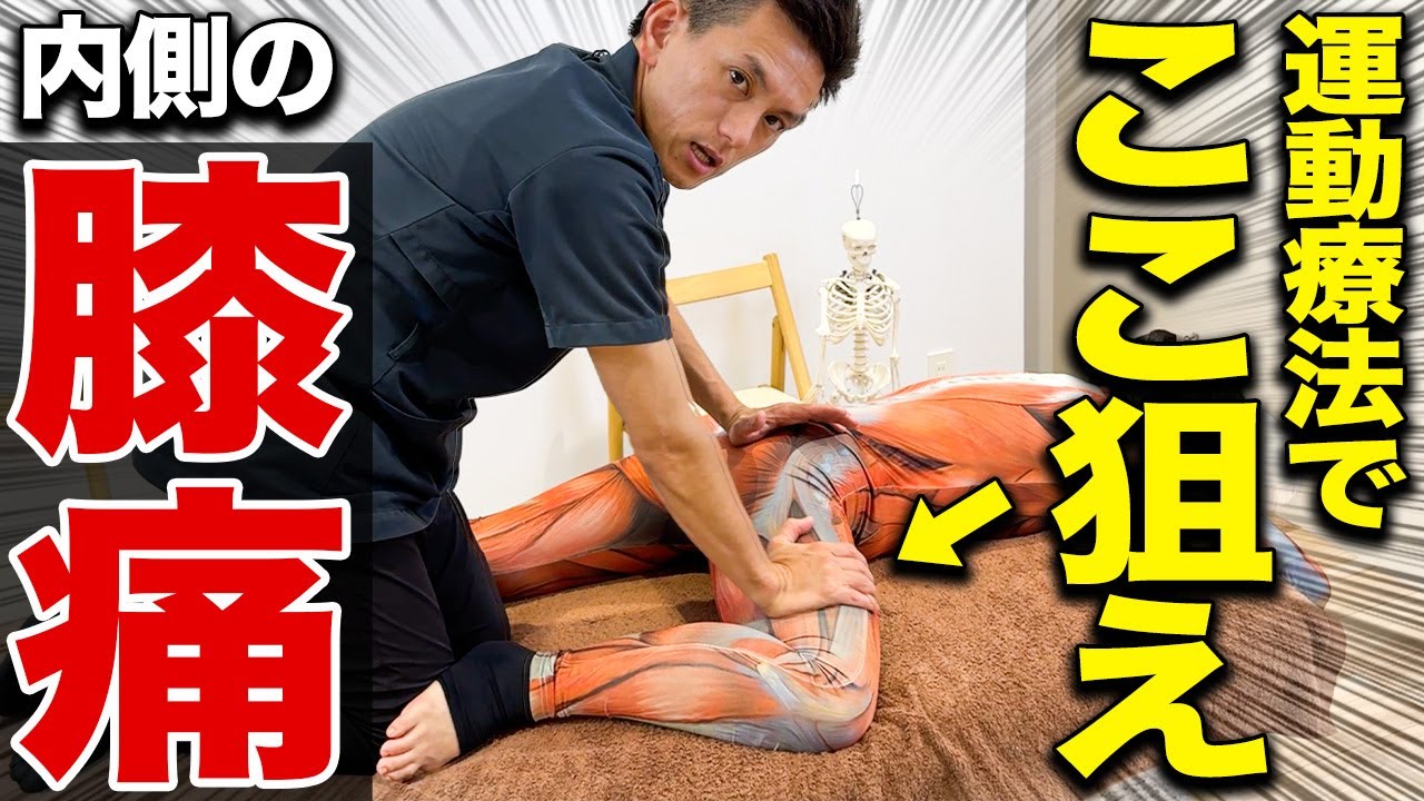 【開業してる治療家は絶対見て】誰も教えてくれない膝の内側が痛む原因と神ワザテクニックを徹底解説します！！
