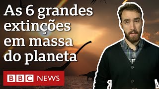 As 6 grandes extinções em massa e por que vivemos uma agora Resimi