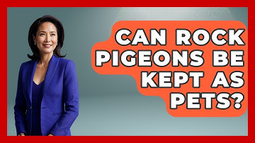 Can Rock Pigeons Be Kept As Pets? - Bird Watching Diaries