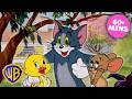 Springtime MAYHEM Tom Jerry MEGA COMPILATION KidsCartoons Wbkids Springtime MAYHEM Tom Jerry MEGA COMPILATION KidsCartoons Wbkids