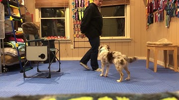 CJ Fithian Packet A Lesson 4 1 Head Dip