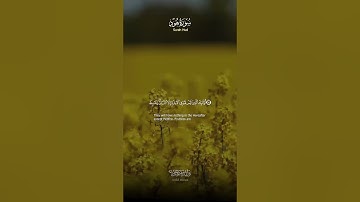 سورة هود آيات تلامس القلوب وتهدي النفوس | Surah Hud Heart-touching Verses Guiding the Souls