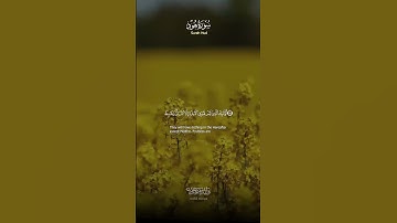 سورة هود آيات تلامس القلوب وتهدي النفوس | Surah Hud Heart-touching Verses Guiding the Souls