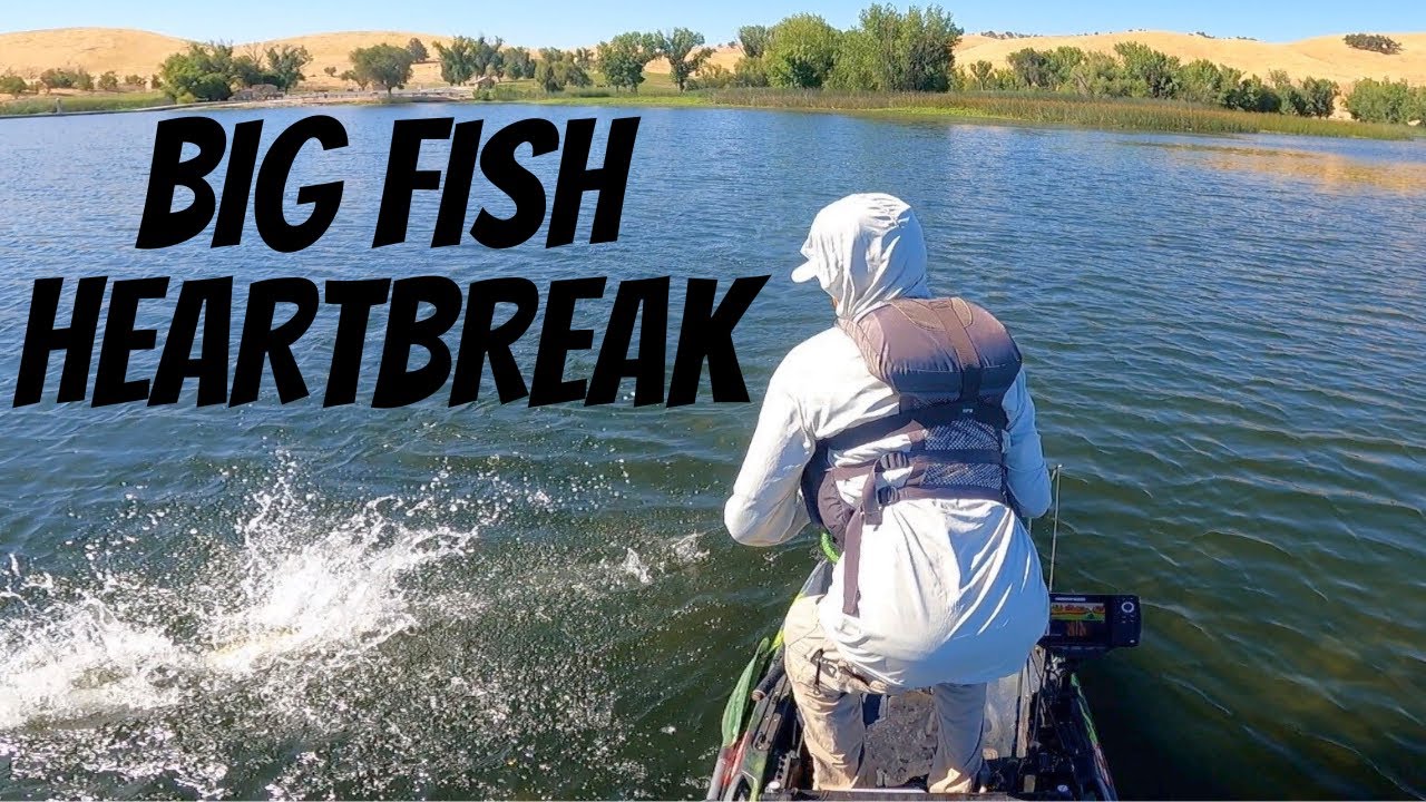 Swimbait Bloopers: Losing GIANT Bass on Big Glide Baits
