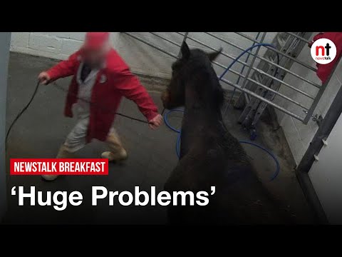 Footage of racehorses seen in BBC Panorama documentary &rsquo;inherent in the industry&rsquo;