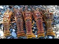 2020 LOBSTER SEASON LOBSTER CATCH CLEAN COOK