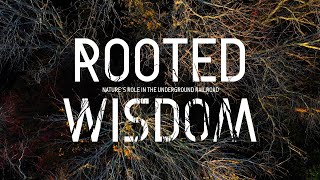 Part 2: Navigation | Rooted Wisdom: Nature’s Role in the Underground Railroad