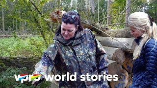 Why Europe&#39;s only primeval forest causes tensions | VPRO Documentary
