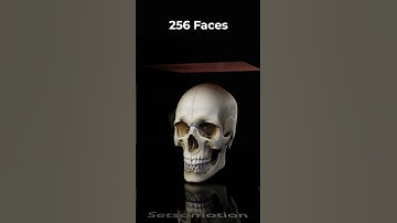 Human Skull | Blender Cloth Simulation