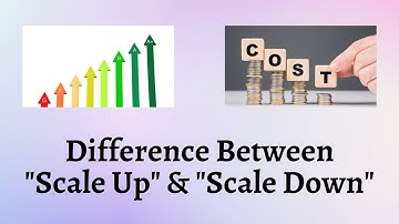 Difference Between Scale Up and Scale Down | Understanding When to Scale Up or Down Wisely!