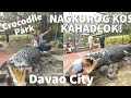 Ep 81 laag sa crocodile park and zoo davao city philippinesirene phiqz tv