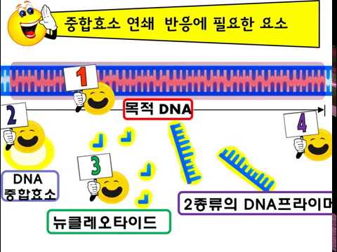 PCR (Polymerase Chain Reaction ) , Features of Taq DNA Polymerase