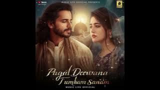 Pagal Deewana Tumhara Sanam _ Sufi Qawwali _ Music Life (720P_HD)
