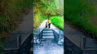 3D Painting on USA Road || #usa #usashorts #3d #3danimation #3dprinting