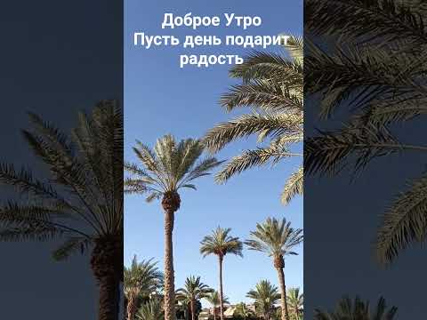 Новый день — как чистый лист. Вдохни, почувствуй, живи.#ДоброеУтро 🌅