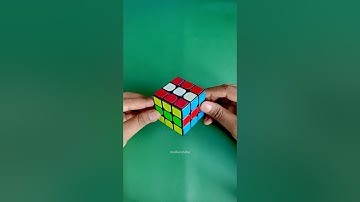 Green Mamba Pattern!