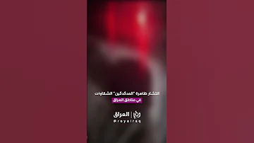 انتشار ظاهرة المدگدگين الشقاوات في مناطق العراق الشعبية يوتر الاهالي 