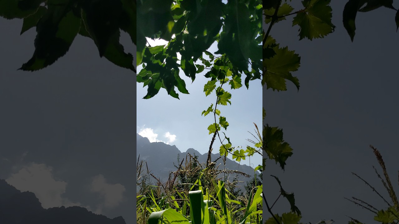 "living green and loving it" 