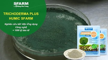 TRICHODERMA PLUS HUMIC SFARM - Nghiên cứu bởi Viện ứng dụng công nghệ